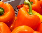 Paprika