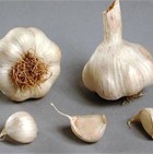 ČESEN Sabadrome